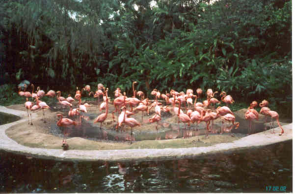 birdparc.jpg